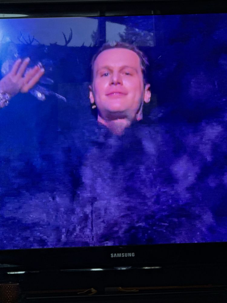 Many black feather fans surround a smiling man’s face 