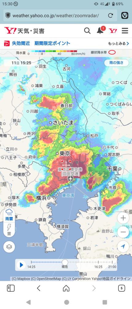 雨雲レーダー都内の様子
