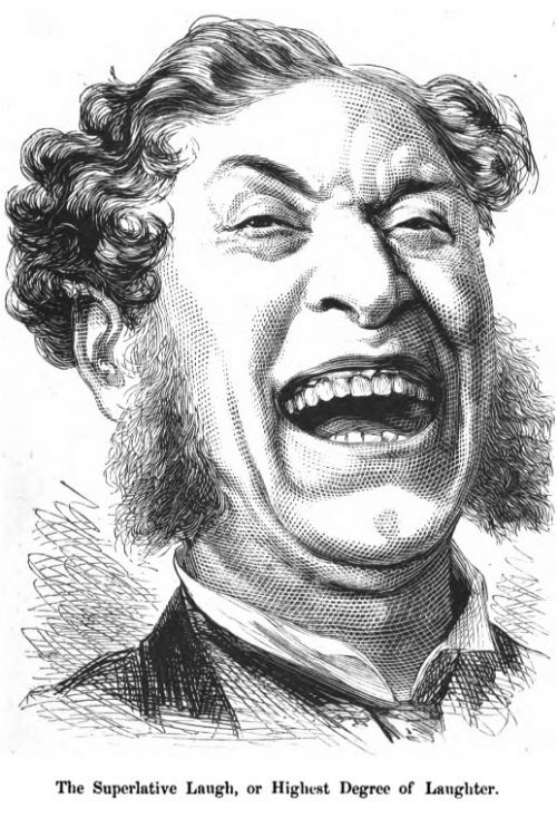the superlative laugh, or highest degree of laughter