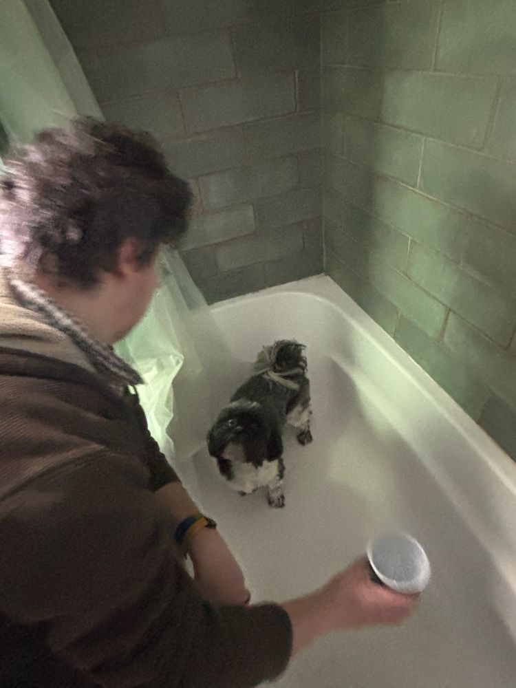 Henry stares up at Josh in the tub bc he doesn’t understand why his paws need to be washed. 