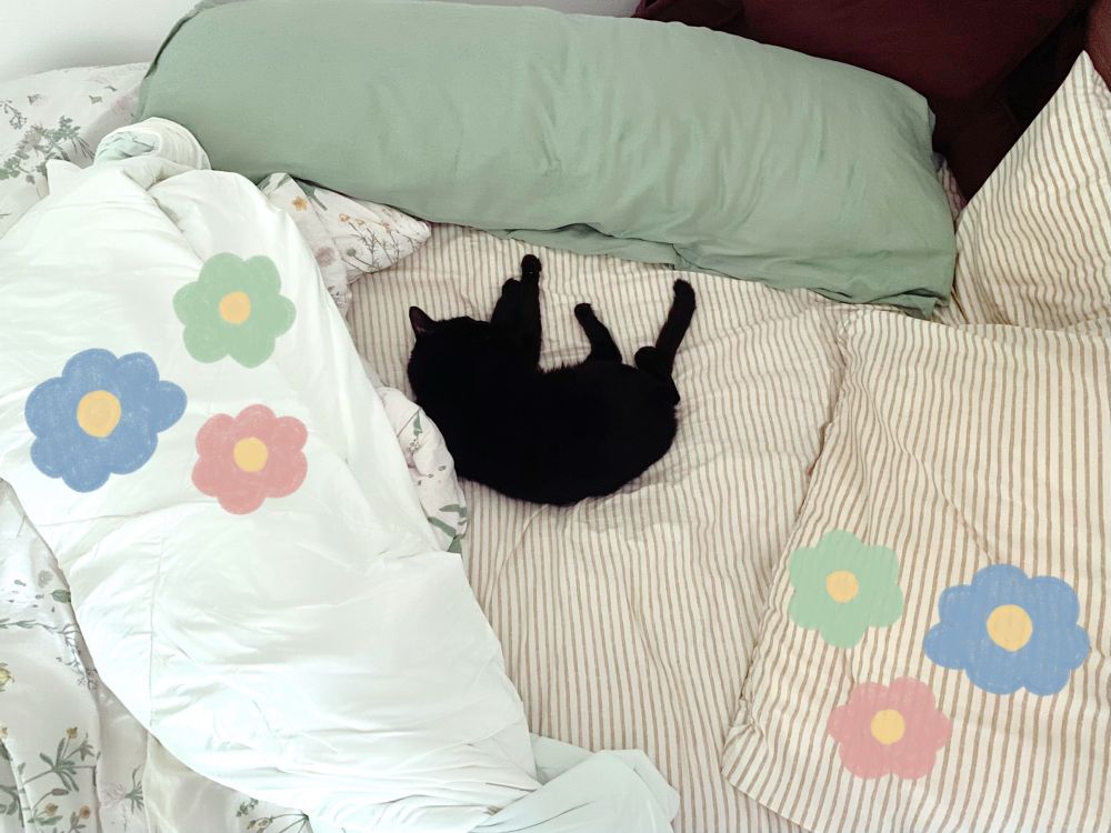 a black cat sleeping in the exact mathematical center of a bed