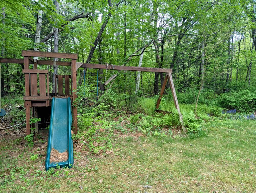 A picture of a wooden children's playset with a green plastic slide. The playset is covered in vegetative growth from the forest behind it