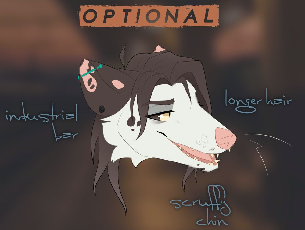 Close-up of the optional features from the previous image