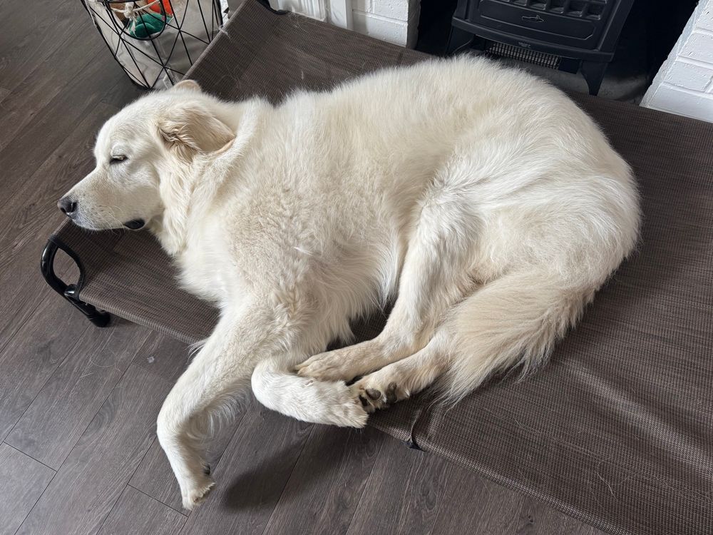 mac laying sort of funny on his bed 