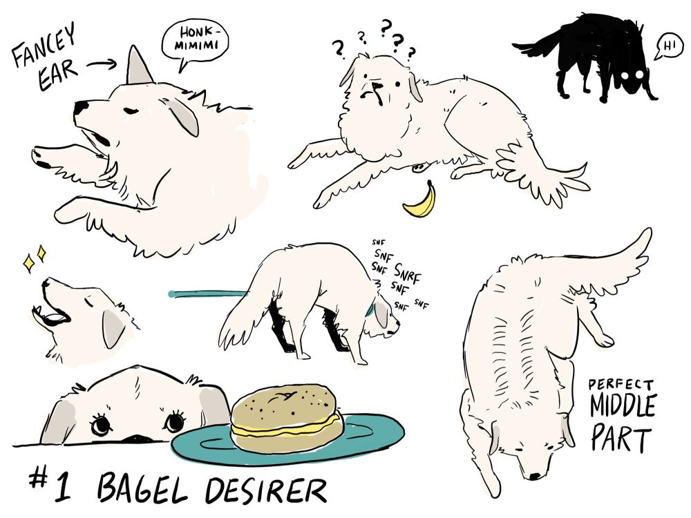several sketchy drawings of a great pyrenees dog