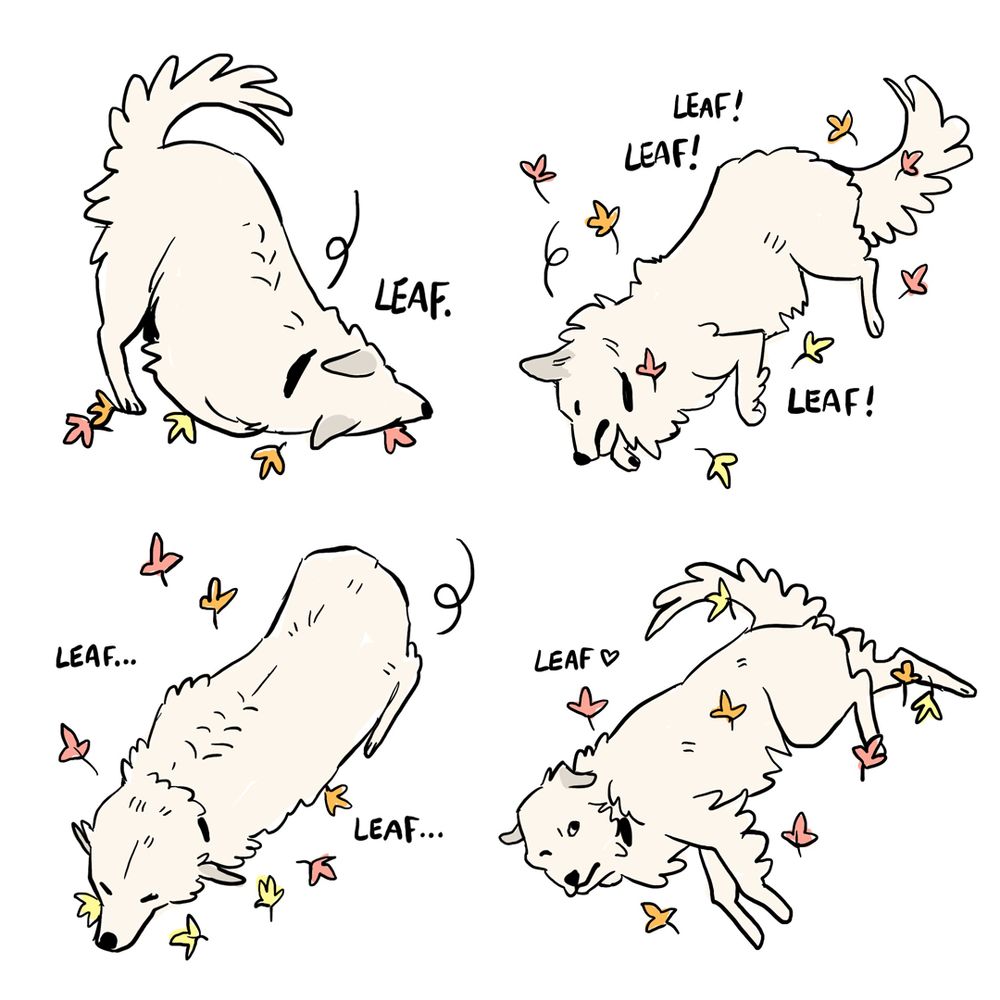 a panelless four step comic of a messily drawn great pyrenees in various stages of rolling in simple leaves. he keeps saying "leaf!" over and over and looks content. 