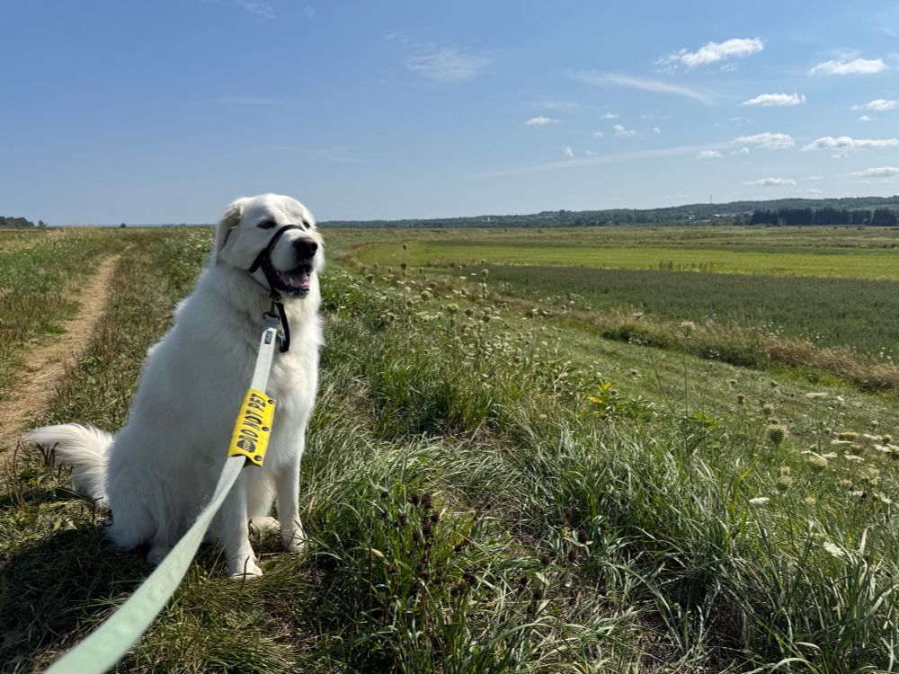mac sitting and smiling while standing on an earthen dyke built sometime in the 18th century by acadians 