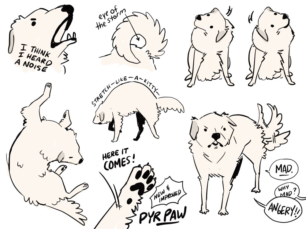 various sketches of a great pyrenees dog
