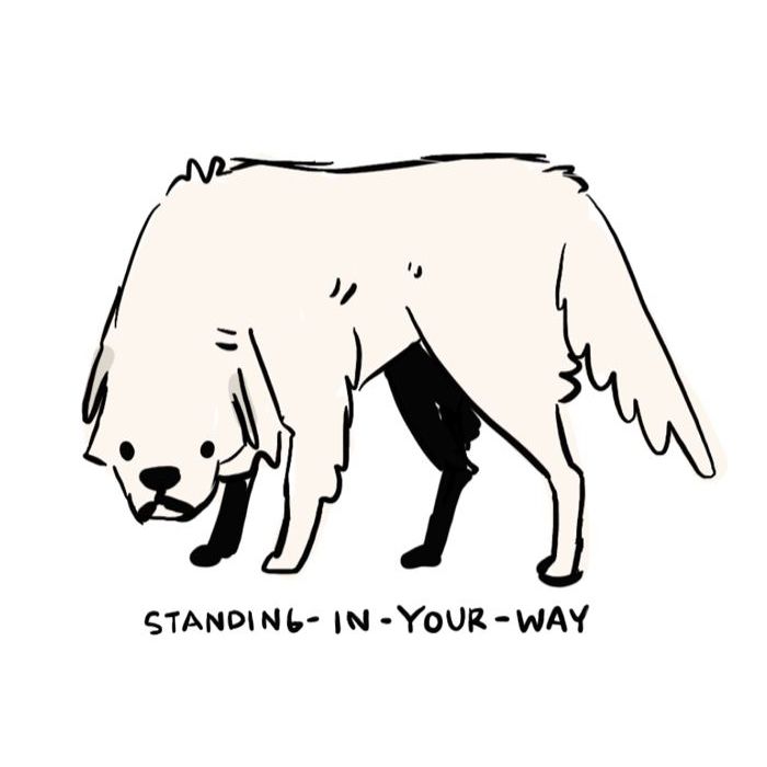 a drawing of a great pyrenees dog standing, head and tail lowered. beneath reads text “standing in your way”