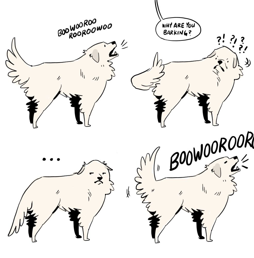 a four panel comic, each panel a similar drawing of a great pyrenees dog. the first panel he is barking. second panel: he turns, annoyed and confused, when someone out of frame asks why he is barking. third panel: a pause, as he considers this. fourth panel: he is barking, louder 