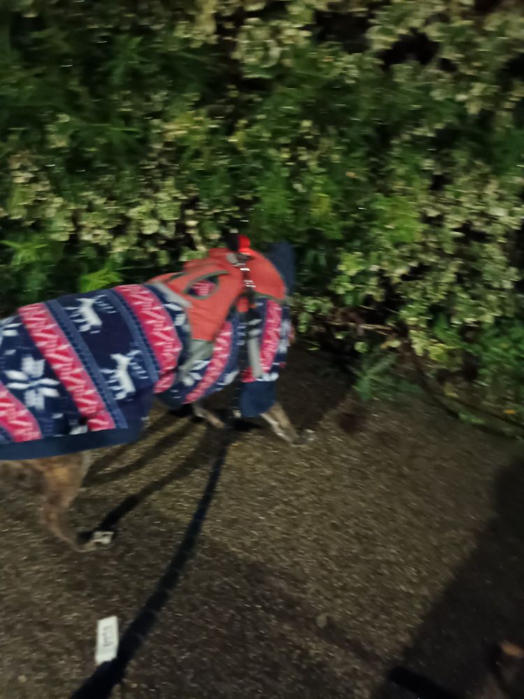 Not going to look at you Mum. This is so embarrassing!