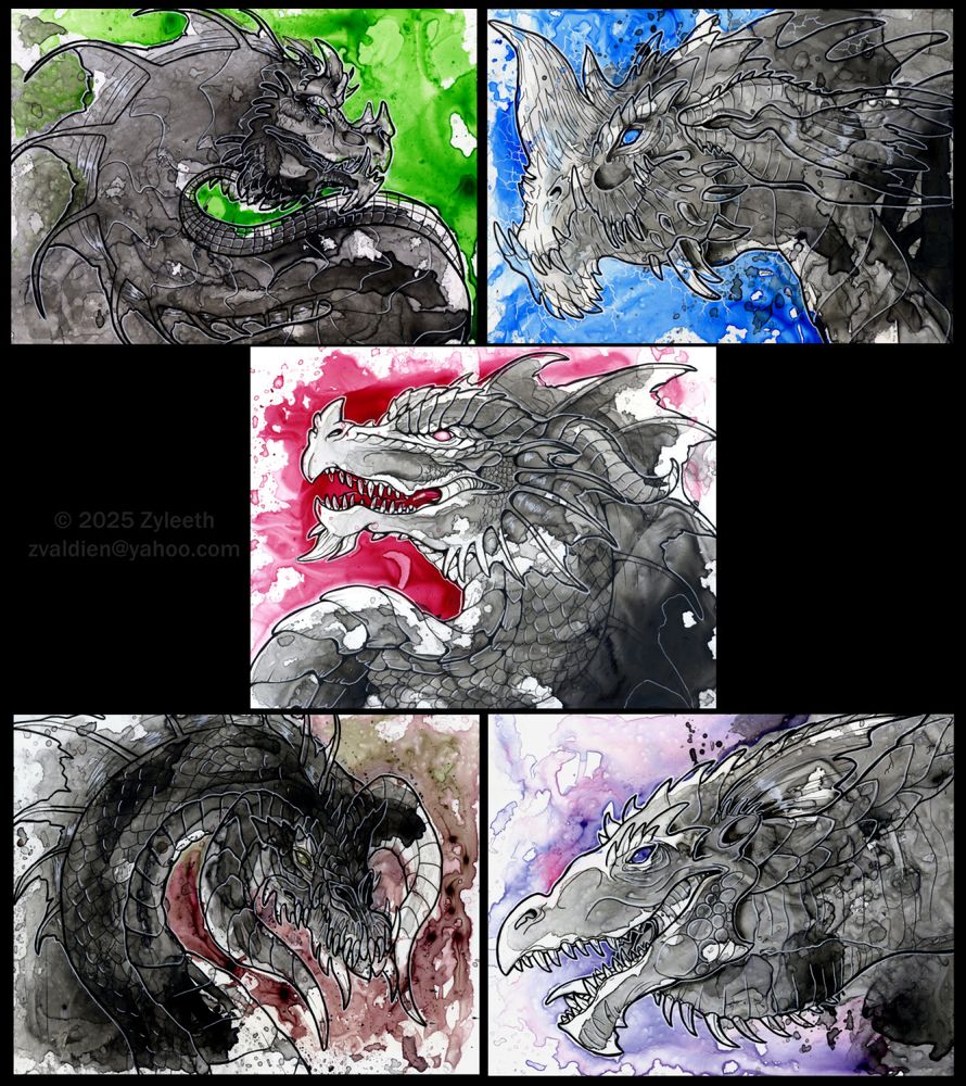 Five separate images of D&D dragon portraits collected on a black background. Green, blue, red, black, and white, all done in colored india ink