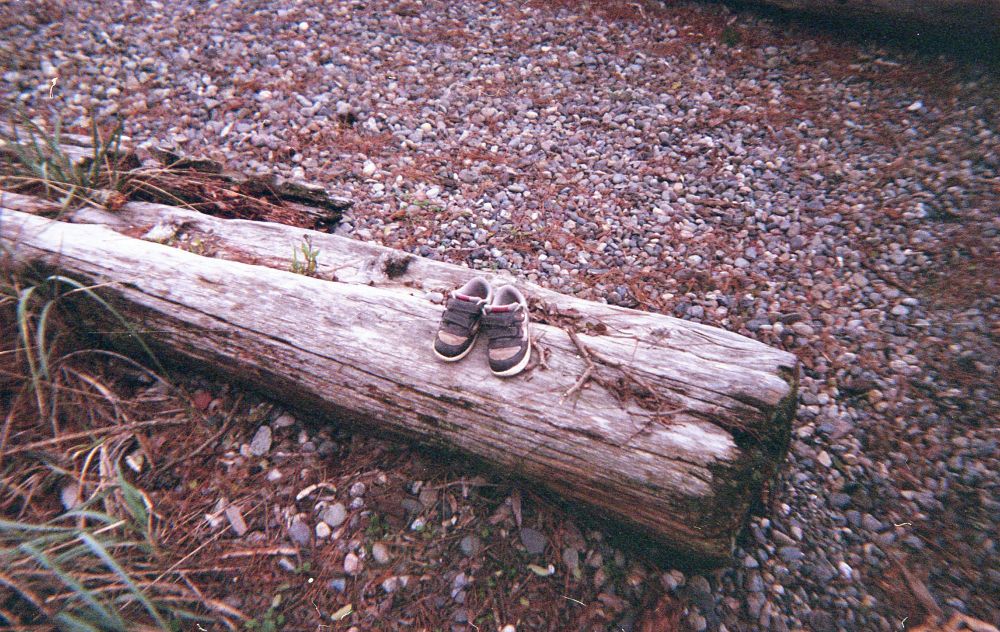 A pair of baby shoes sitting on a driftwood log