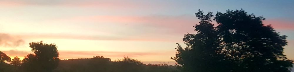 Un ciel au couleur du soleil levant, avec des arbres au premier plan