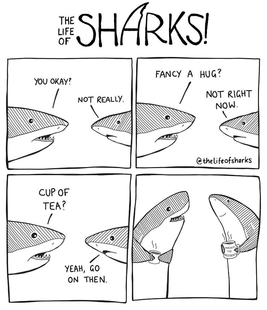 Two sharks converse in a four-panel comic. One offers a hug, then tea. The other declines the hug but accepts the tea. Both hold teacups in the final panel.