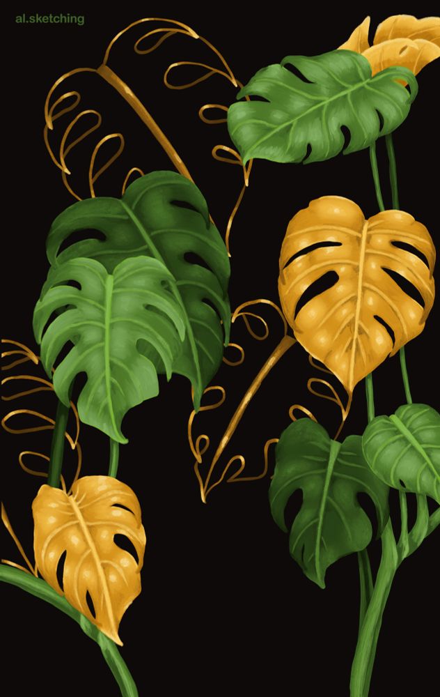 Comment image