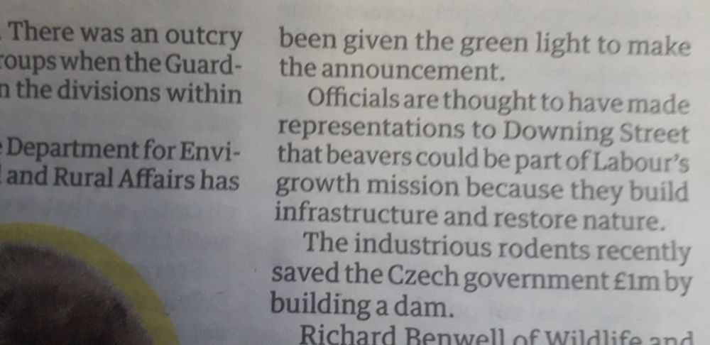 From this morning's Guardian. Beavers building infrastructure is a new move. Growth and animal spirits re-imagined?