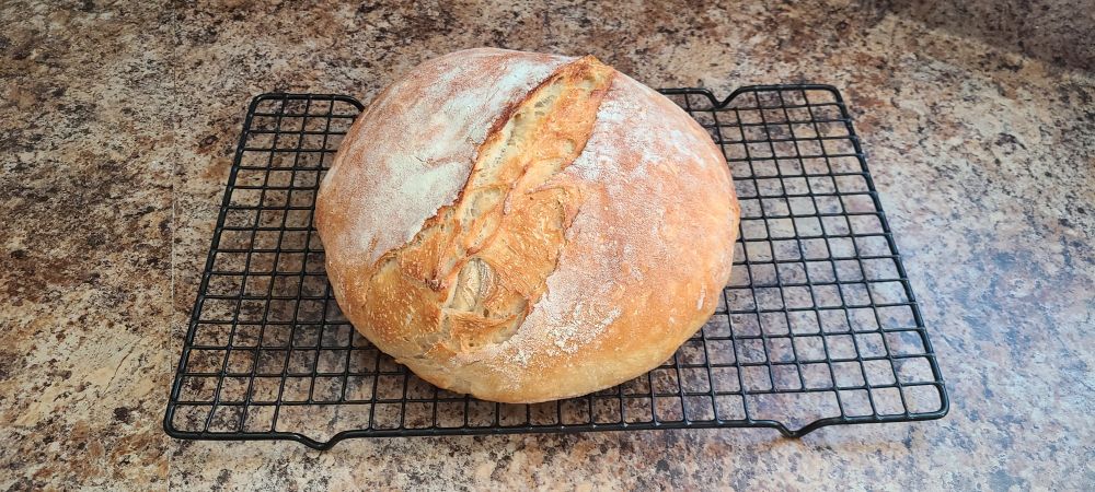 Perfectly Crusted Artisan