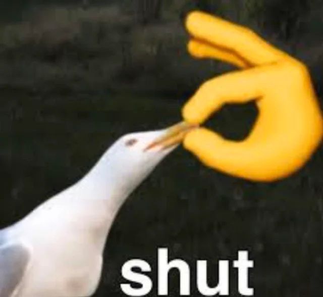 A seagull with its beak being held closed by a yellow OK emoji and the word ‘shut’ in white underneath 