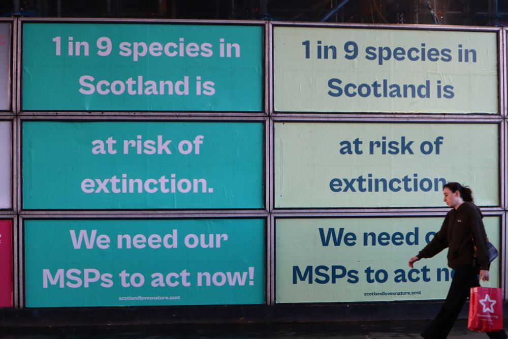 Two billboards side by side which state "1 in 9 species in Scotland is at risk of extinction. We need our MSPs to act now!"