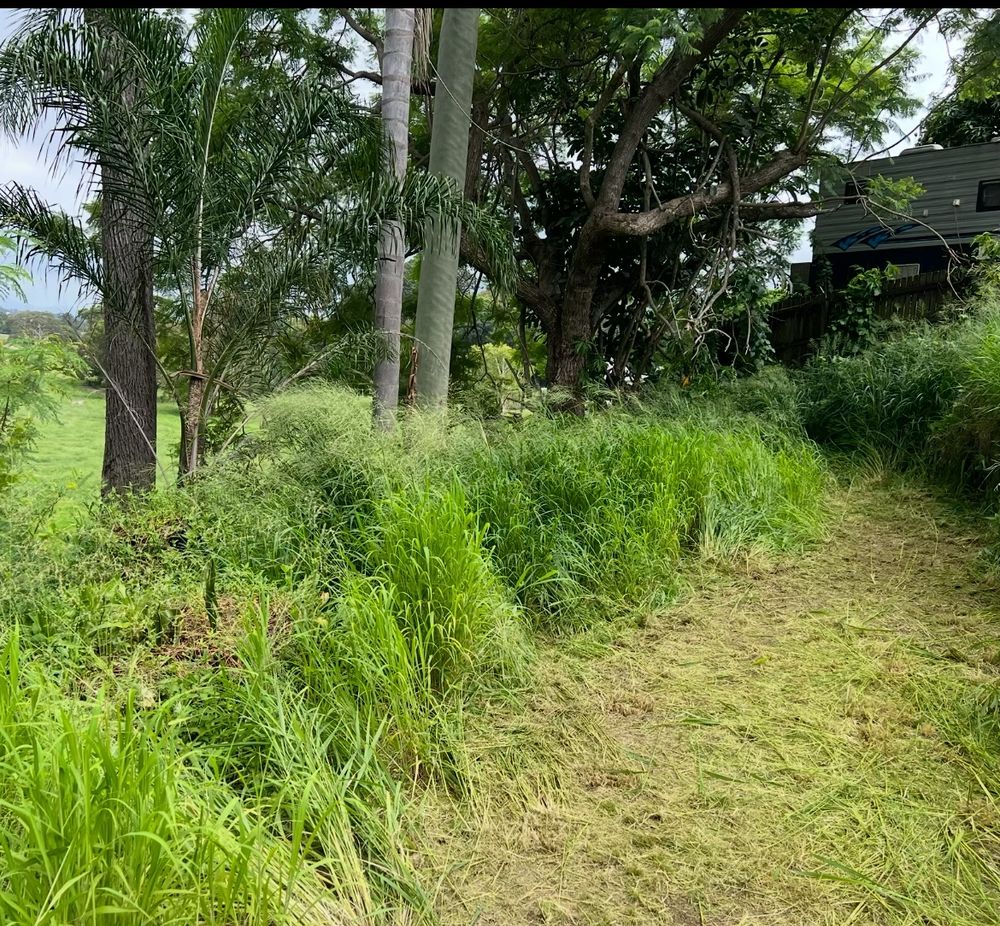 Halfway through cutting some long grass (and hoping there are no Eastern Brown or Red-bellied Black snakes hiding amongst it)