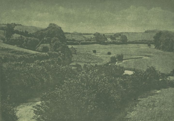 Camera Work: Meadow-brook