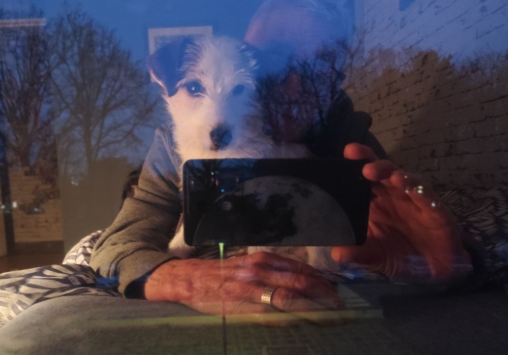 Un chien devant son maître qui tient un smartphone et se photographie à la lumière d'une lampe de chevet face à une fenêtre avec les arbres du dehors qui s'y réfléchissent.