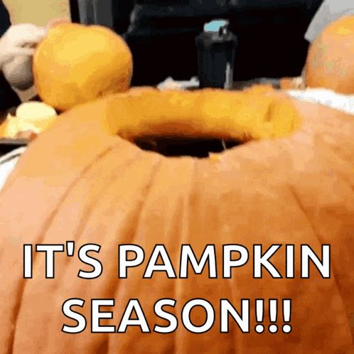 a pumpkin with a hole in it and the words " it 's pumpkin season "