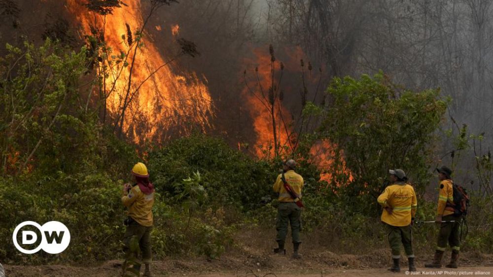 Bolívia decreta "desastre nacional" por incêndios florestais – DW – 01/10/2024