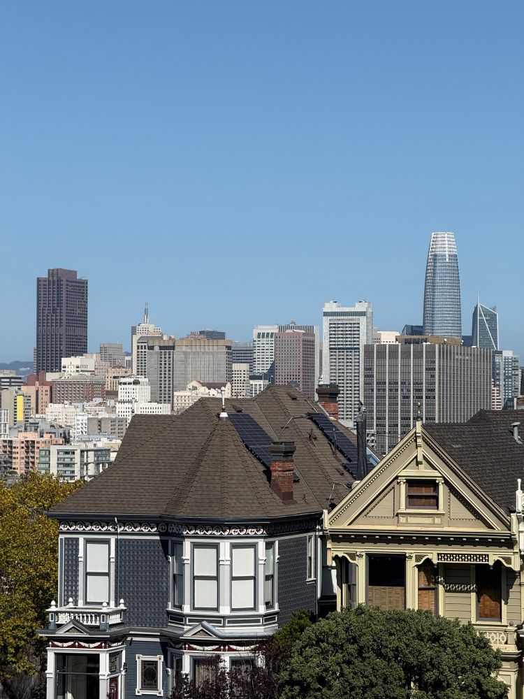 The view of the painted ladies