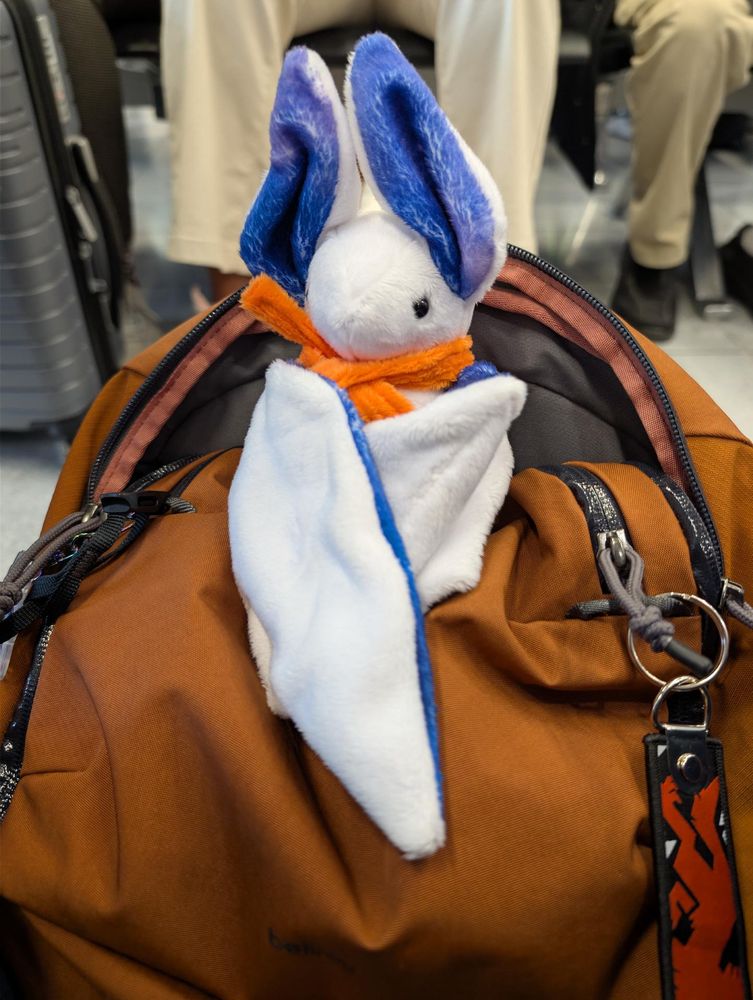 A white plush bat, sitting atop my backpack at the airport.