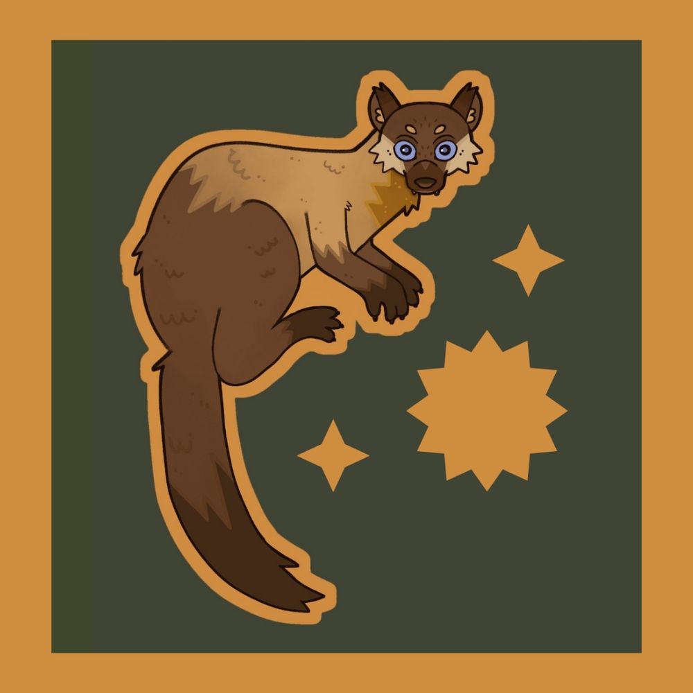 digital drawing of a yellow throated marten looking directly at the viewer, a yellowish orange outline and shapes surrounding it
the general background is a muted dark green