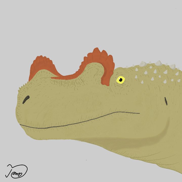 Portret of Ceratosaurus nasicornis, a species of horned ceratosaur from Late Jurassic North America 