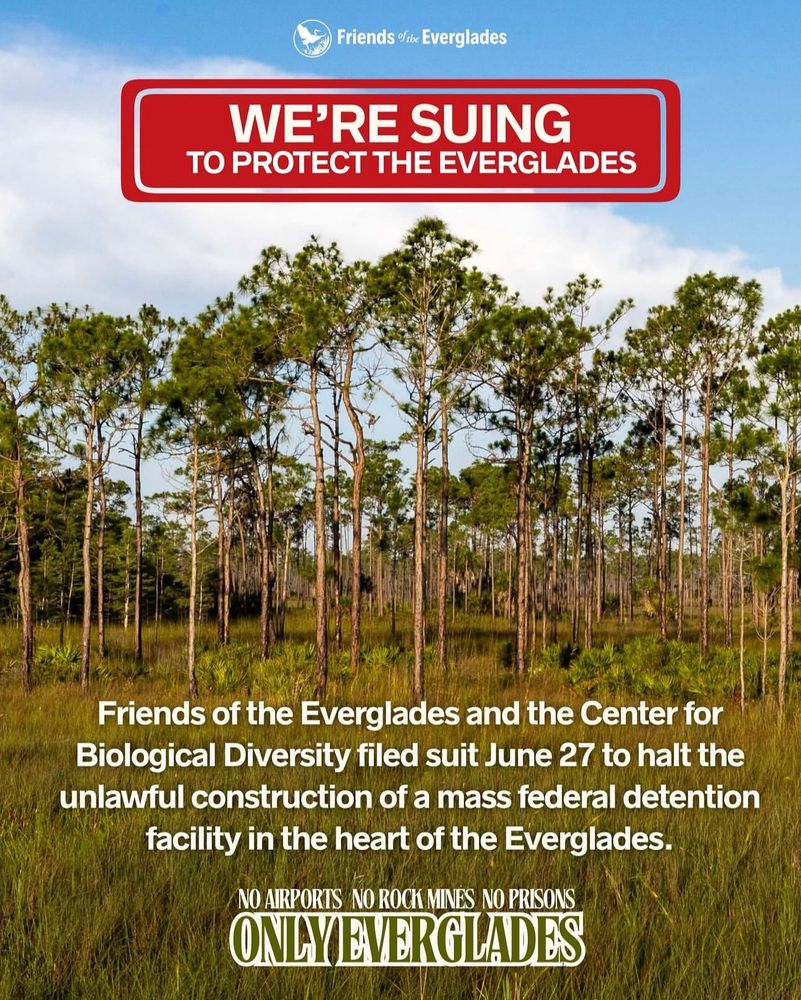 An image of trees in the Florida Everglades. A logo up top reads friends of the Everglades . Under that in a red box is text that reads WERE SUING TO PROTECT THE EVERGLADES 

Text under the line of trees reads Friends of the Everglades and the Center for Biological Diversity filed suit June 27 to halt the unlawful construction of a mass federal detention facility in the heart of the Everglades.

At the very bottom is a tagline that reads no airports. No rock mines. No prisons. Only Everglades. 