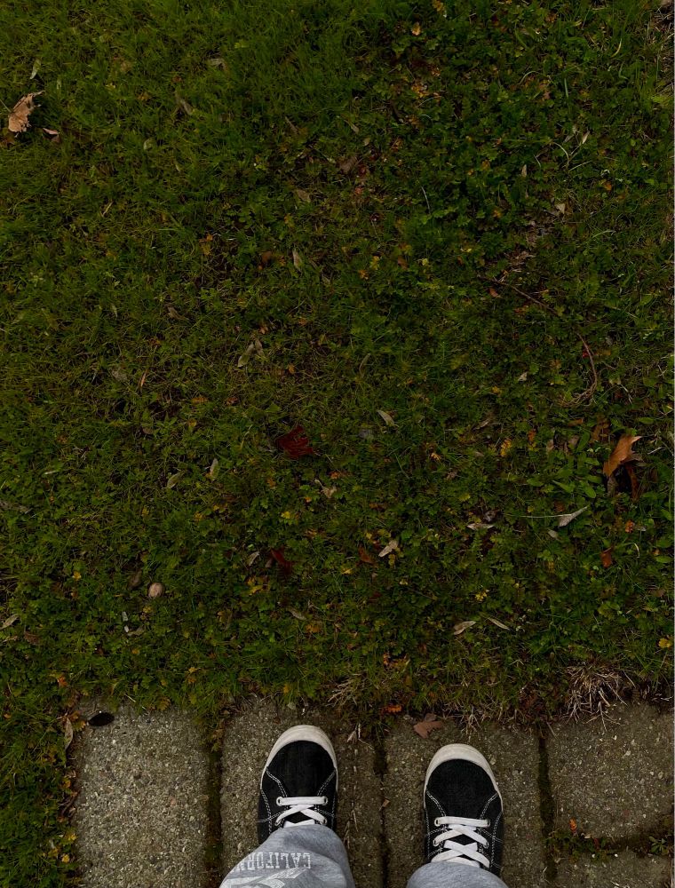 Picture of a mainly grassy area. At the bottom of the picture are two sneaker-clad feet, standing on concrete bricks.