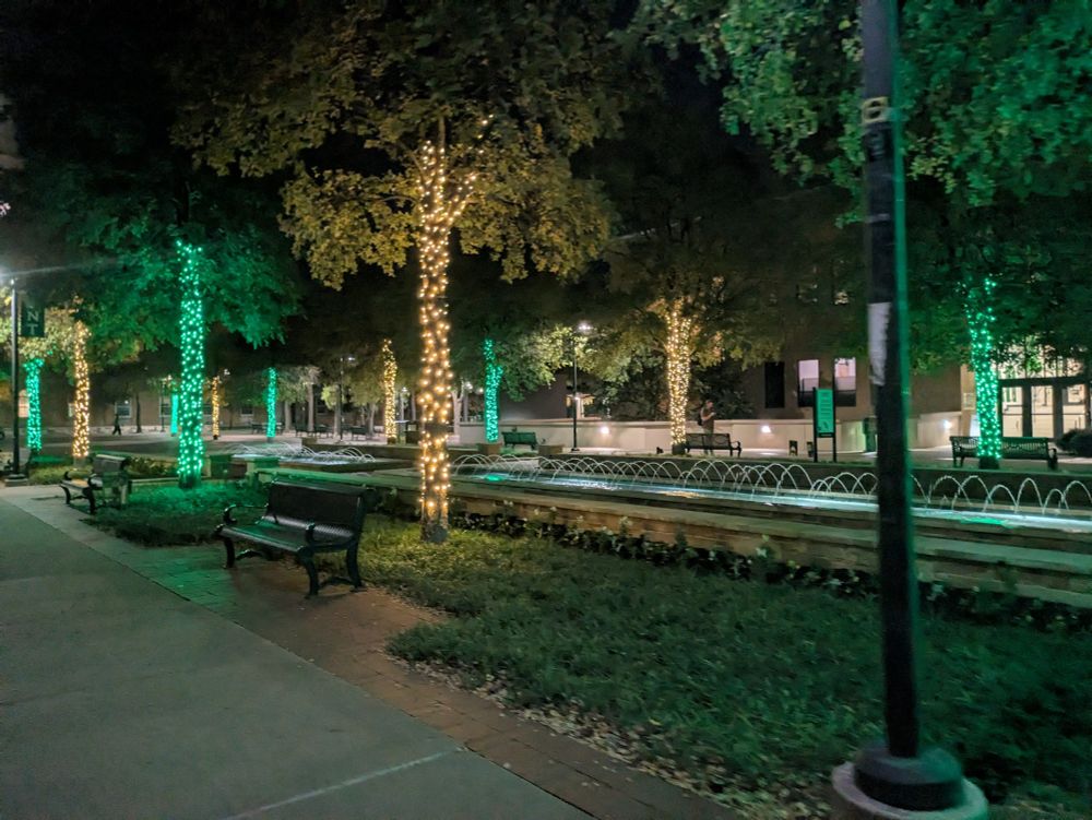 Another picture that has trees with Christmas lights that are alternating green and white
