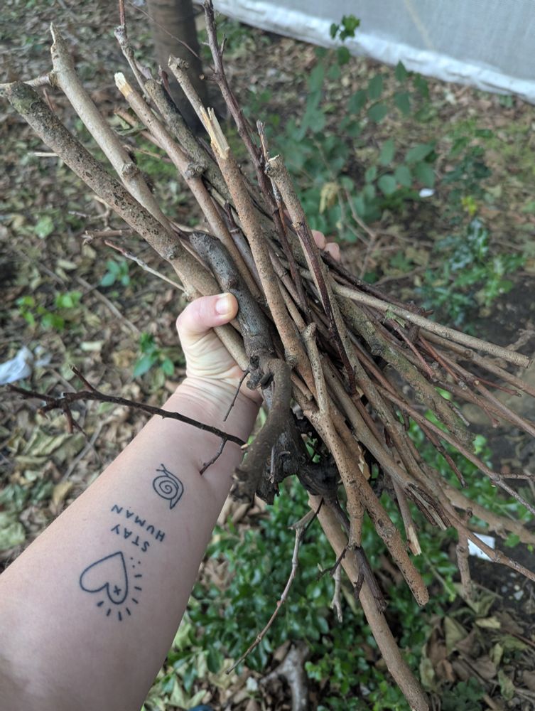 Arm holding bundle of sticks