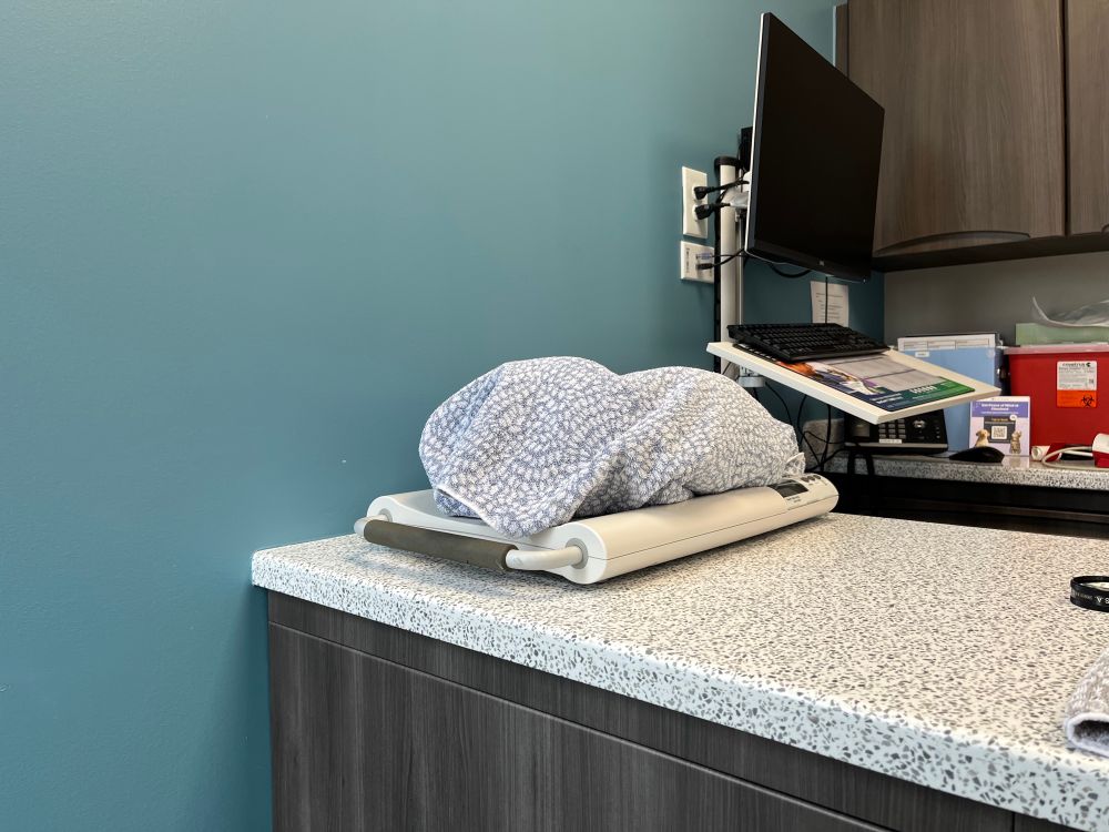 A bundle of white and blue patterned towel resting on a flat, white, scale. There is a cat hidden underneath the towel.