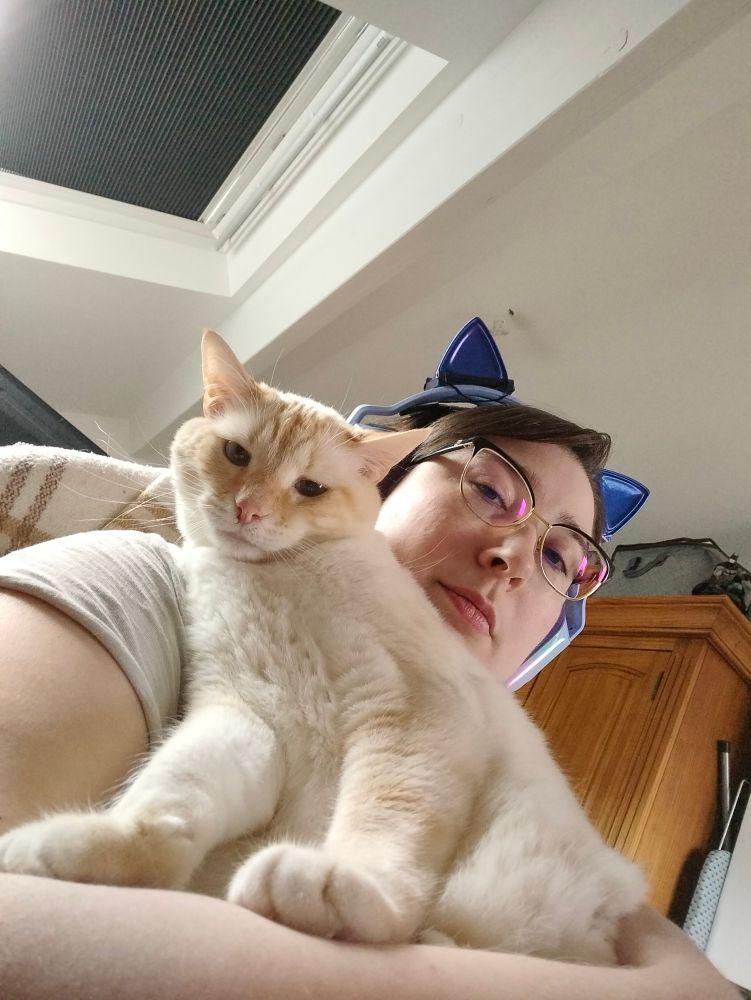 Tenderness et Ramsès le chat regardent vers le bas où se trouve l'objectif. Ils ont un air sérieux comme un gang de ronronneurs