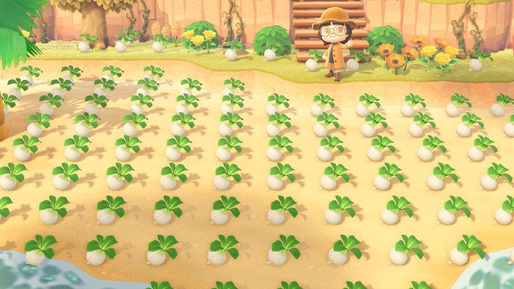 A screenshot from Animal Crossing New Horizons depicting thousands of turnips placed on my islands beach 🌳🌊 #acnh #animalcrossing