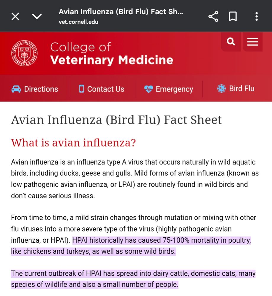 Screenshot from the college of veterinary medicine. Headline 