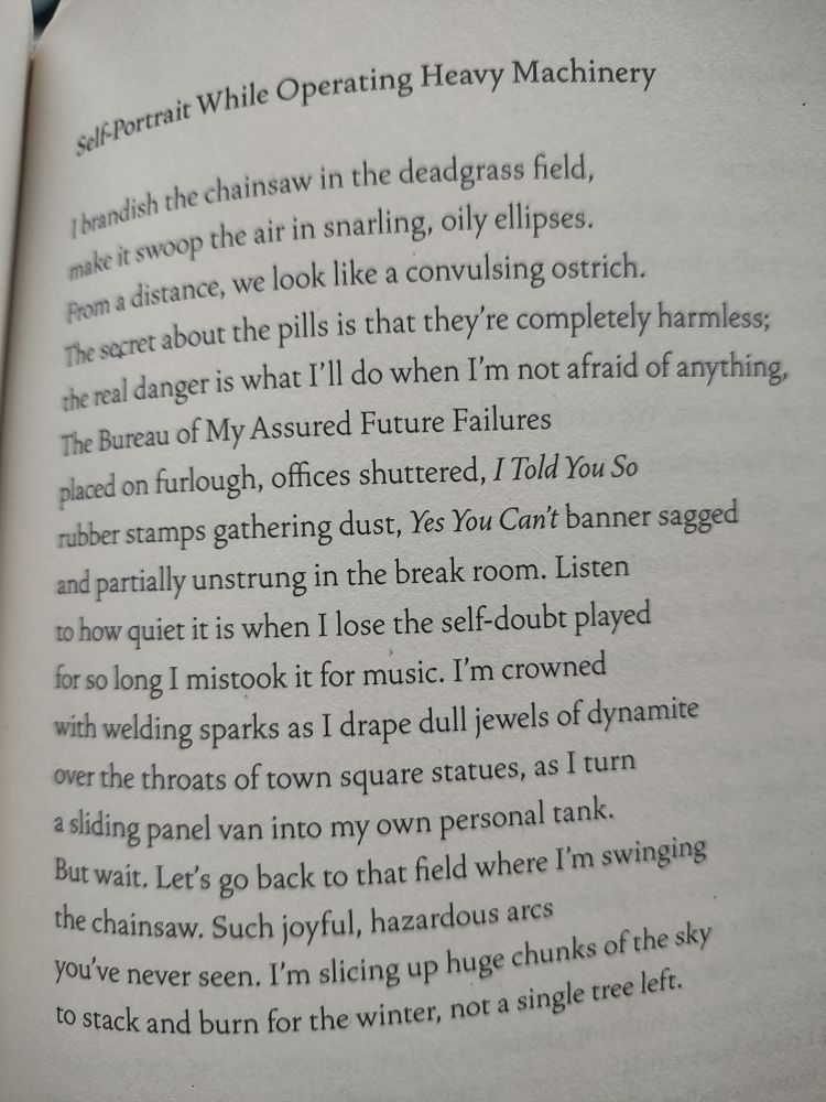 Self-Portrait While Operating Heavy Machinery

I brandish the chainsaw in the deadgrass field, make it swoop the air in snarling, oily ellipses. From a distance, we look like a convulsing ostrich.

The secret about the pills is that they're completely harmless; the real danger is what I'll do when I'm not afraid of anything, The Bureau of My Assured Future Failures placed on furlough, offices shuttered, I Told You So rubber stamps gathering dust, Yes You Can't banner sagged and partially unstrung in the break room. Listen to how quiet it is when I lose the self-doubt played for so long I mistook it for music. I'm crowned with welding sparks as I drape dull jewels of dynamite over the throats of town square statues, as I turn a sliding panel van into my own personal tank. But wait. Let's go back to that field where I'm swinging the chainsaw. Such joyful, hazardous arcs you've never seen. I'm slicing up huge chunks of the sky to stack and burn for the winter, not a single tree left.