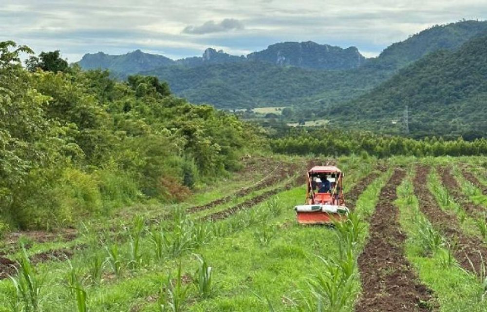 Mengenal Saraburi Sandbox, Proyek Percontohan Masyarakat Rendah Karbon di Thailand