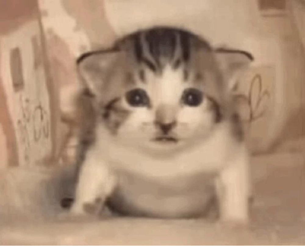 a kitten is eating a candle in a bowl and it looks like it is exploding .