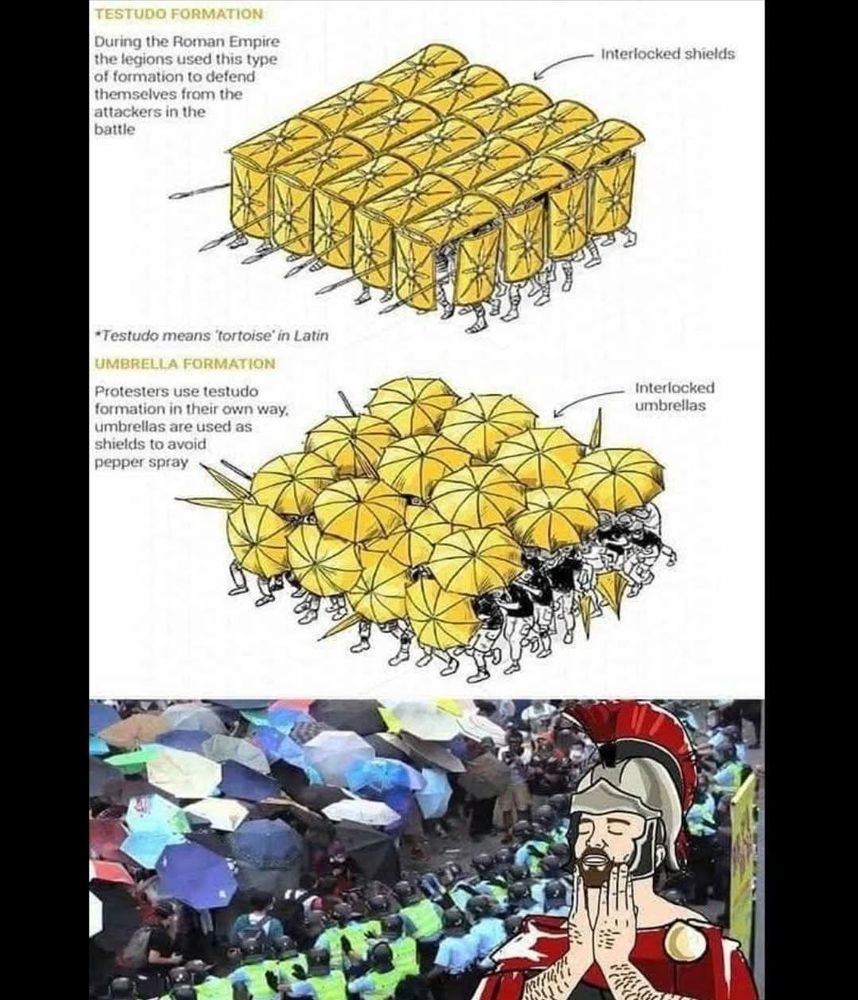 Roman style shield wall