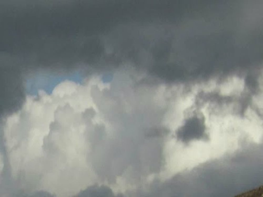 Regen - Amarant