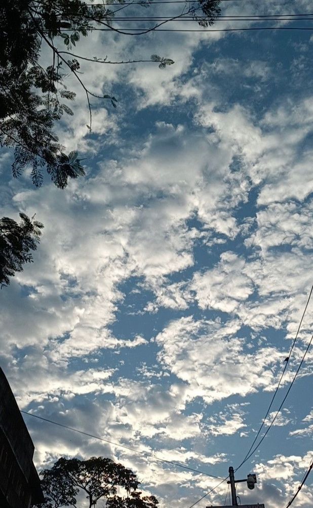 I did not take this photo.