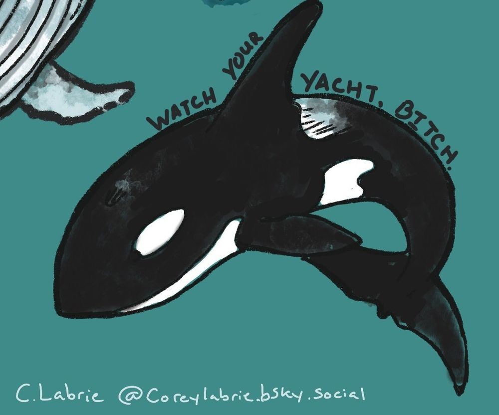A orca whale with text above that reads "watch your yacht, Bitch"
