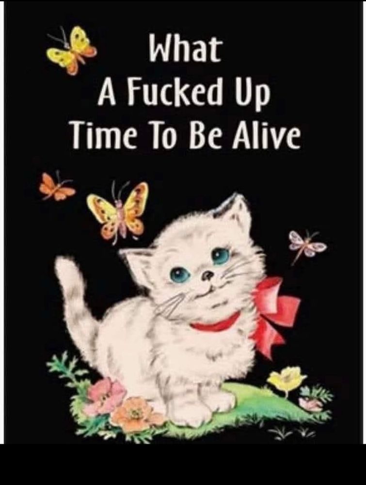 Picture of a cute white and gray fluffy kitten with a pink bow around its neck. The kitten is standing in green grass with pink, yellow, and orange flowers and is looking at butterflies. The text says What a fucked up time to be alive. 
