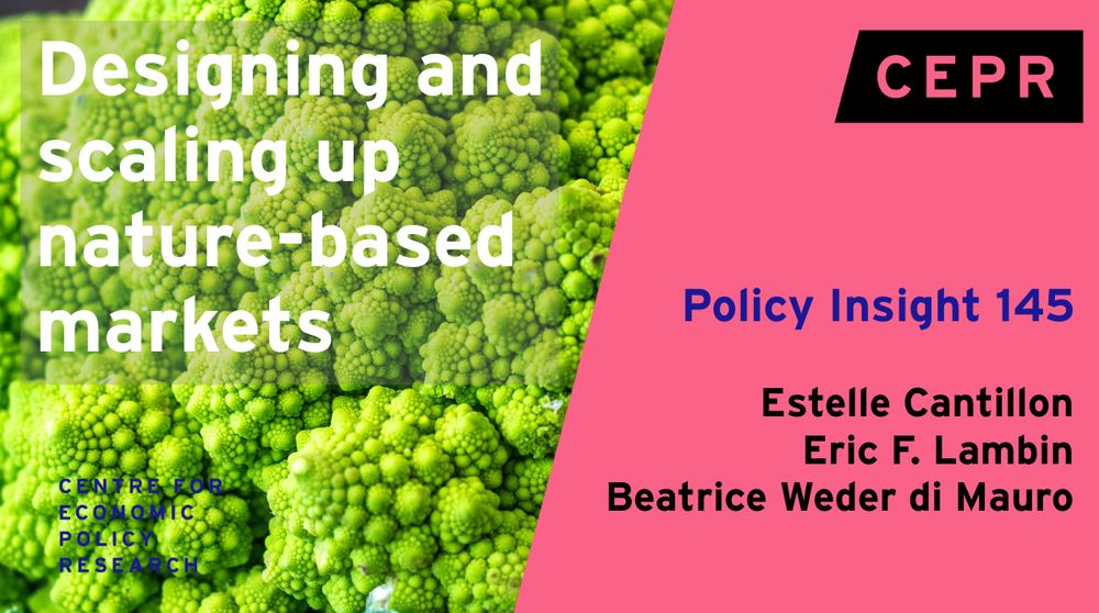 In this Policy Insight, drawn from the 2025 Paris Report, the authors argue for a new approach to finance nature-based provision of carbon and biodiversity benefits: one that takes shares in projects as the main asset to be traded, rather than credits. In our mechanism, jurisdictions propose nature-positive large-scale projects. Investors buy shares in these projects. Shares do not affect land ownership but produce carbon and biodiversity dividends. Prices in the primary market are used to pin down investor preferences over project attributes and generate conversion rates for different projects in the secondary market, thereby fostering liquidity for investors. Compared to existing credit-based approaches, our mechanism accounts for the unavoidable non-permanence of forests and fosters long-term thinking for market participants. Additionally, our mechanism lowers transaction costs, encourages additionality, and reduces leakage. The Insight proposes several venues to support demand for this new market and discuss options available to adapt the mechanism to pure conservation projects, which are essential but less amenable to be turned into dividend-producing assets because they generate lower climate and biodiversity flow benefits.